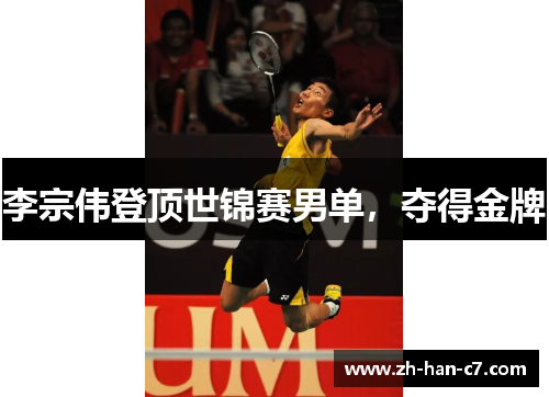 李宗伟登顶世锦赛男单，夺得金牌